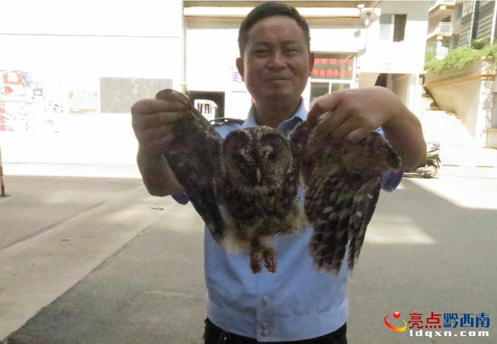 QQ�؈D20150628145305.jpg