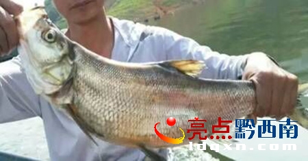 QQ�DƬ20150714174346.jpg
