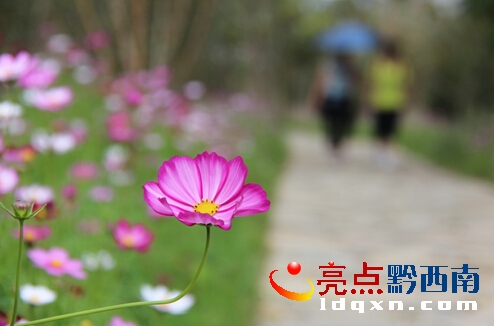 QQ�؈D20151103140548.jpg