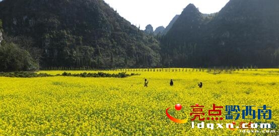 QQ�؈D20160209124058.jpg