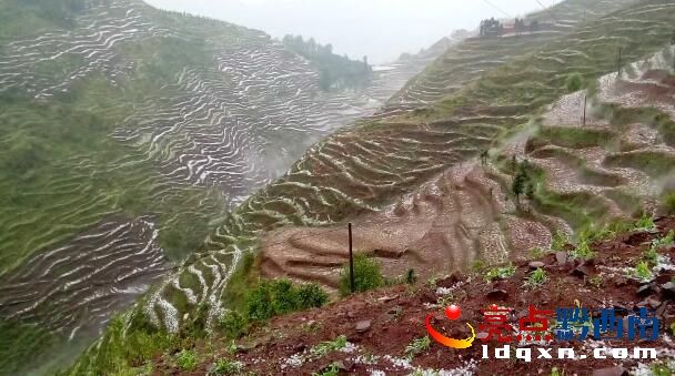 QQ�؈D20160520145826.jpg