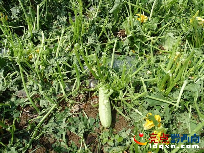 QQ�؈D20160520144809.jpg