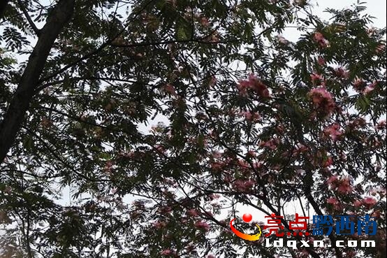 QQ�؈D20160625175456.jpg