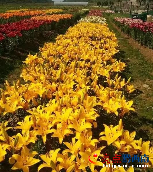 QQ�؈D20161002092022.jpg