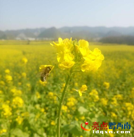 QQ�؈D20170207142954.jpg