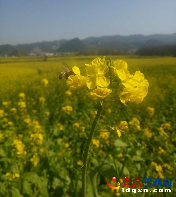 QQ�؈D20170207142933.jpg