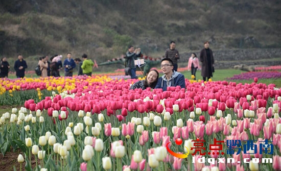 QQ�؈D20170218201537.jpg