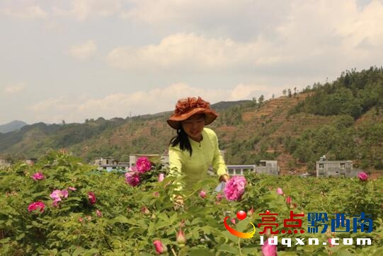 QQ�؈D20170420155631.jpg