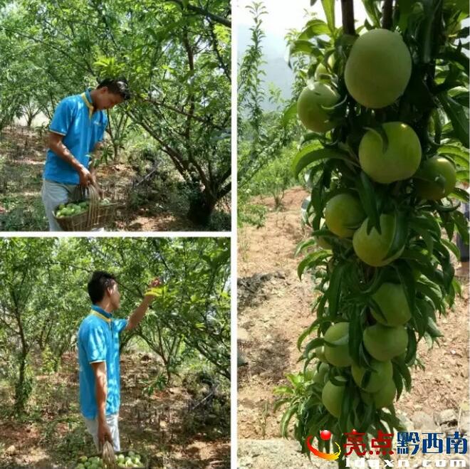 QQ�؈D20170608093258.jpg