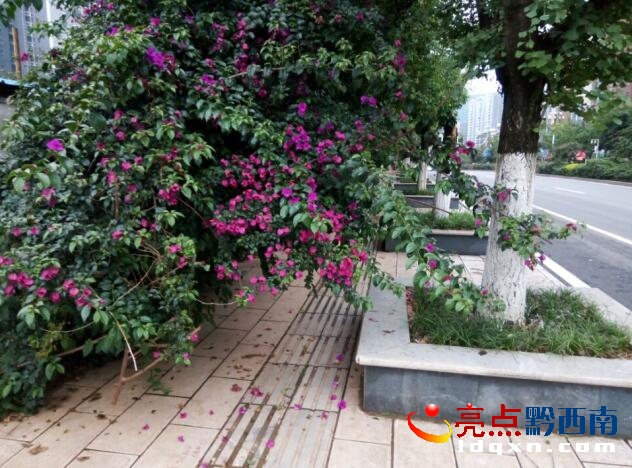 QQ�؈D20170628124738.jpg