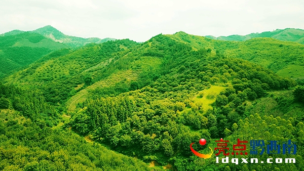 DJI_0021_����.jpg
