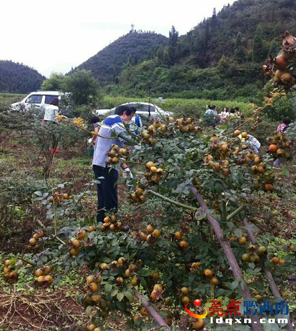 QQ�DƬ20171009164434.jpg