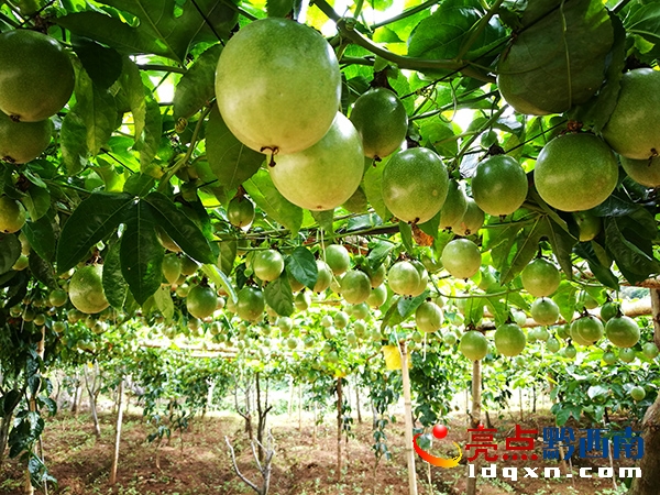 �M�ܴT������.jpg