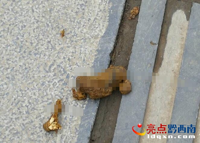 QQ�؈D20171204113802.jpg