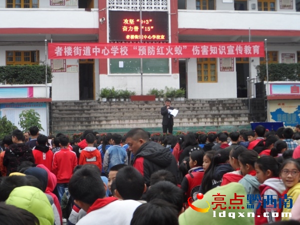 者樓街道中心學(xué)校開展預(yù)防紅火蟻傷害知識(shí)宣傳教育.JPG