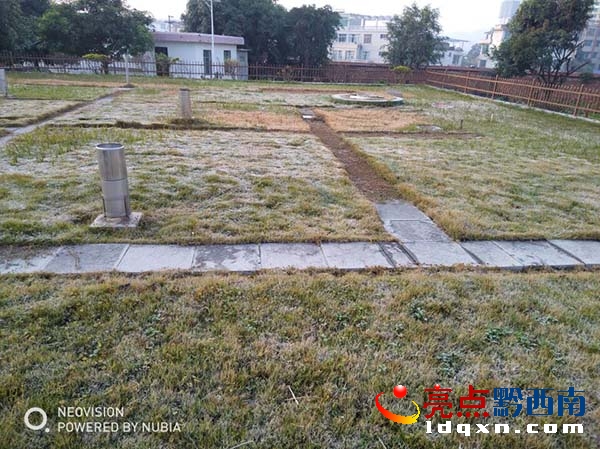 ��փӭ��2017���˪1.jpg