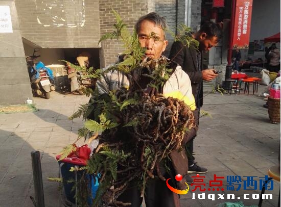 QQ�؈D20171225205943.jpg
