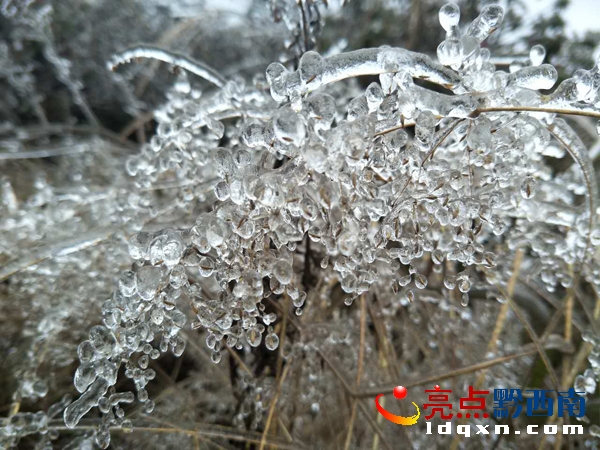 ΢�ňDƬ_20180205103852.jpg