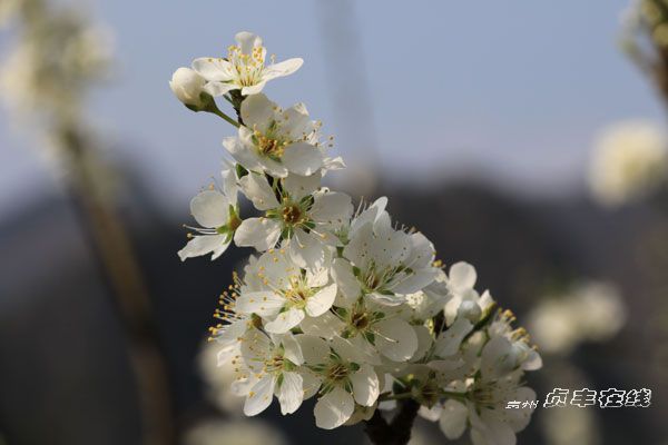 ؑ�S��ʮ�f�������`�� ��һ���n���L����
