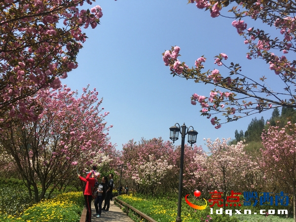 �d�x����ĺ󻨈@: �ѻ���������ҕ��"������