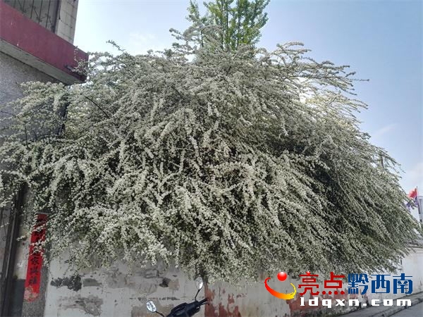 �d�x�����@�F(xi��n)�ش�t���� ���ֱ��20���ט��