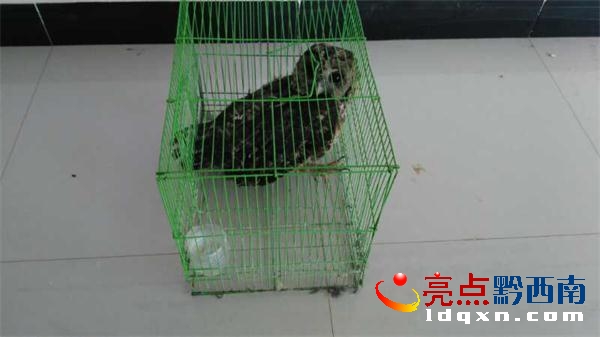 QQ�DƬ20180409093546.jpg