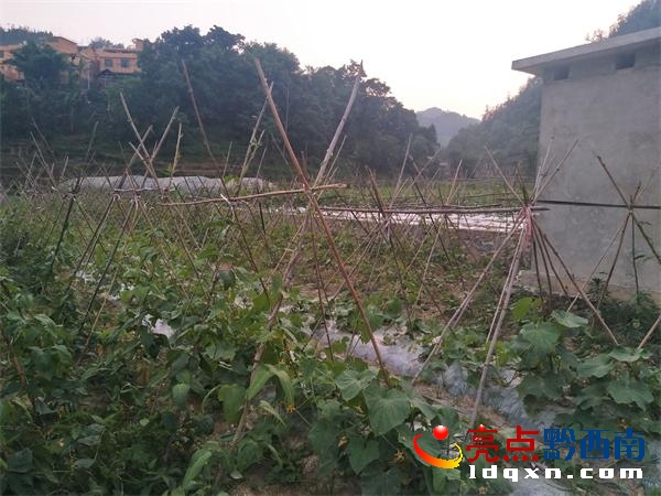 QQ�DƬ20180520234319.jpg