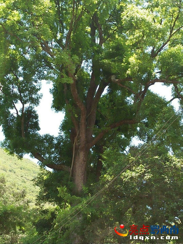 Preview Image 1