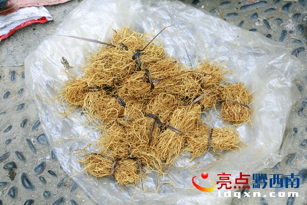 ����� ���W(xu��)�m�z.jpg