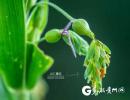 2019�d��޲���ײ��[������8��23����26�����d�����e�k