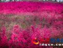 �d�x���˹����t����ľ�п́�