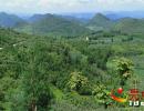 �d�x�а���G悴�ˮ�������M���B���O ̎̎�G����a