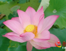 �d�x��ɳ���ܻ��صĺɻ��_�� �ɻ������������~������
