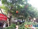 �d�x�Ј@�������޼��е���֦ ������ȫ�[��(�D)