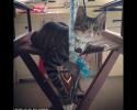 ���ȡ���(d��n)��؈���߼t�W(w��ng)�j(lu��)