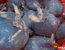 �d�x�l�F�ܴ�һ�C�u��đ �ǳ�ϡ�ٿ������ί��[��