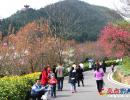 �F�ݴ��L���^������ʢ�_������(�D)