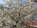 �d�x���˹����V����ɫ�Ĵ��ѻ�̫������