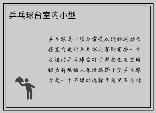 乒乓球台室内小型
