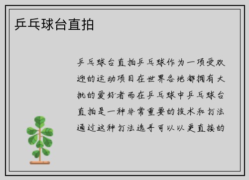 乒乓球台直拍