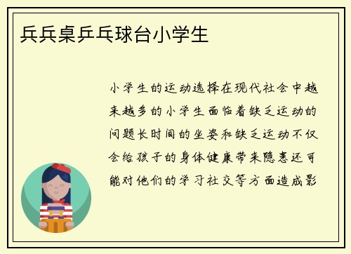 兵兵桌乒乓球台小学生
